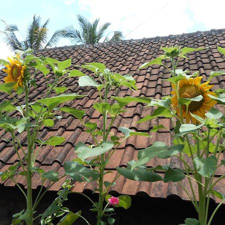 Ming Homestay سيديمين المظهر الخارجي الصورة