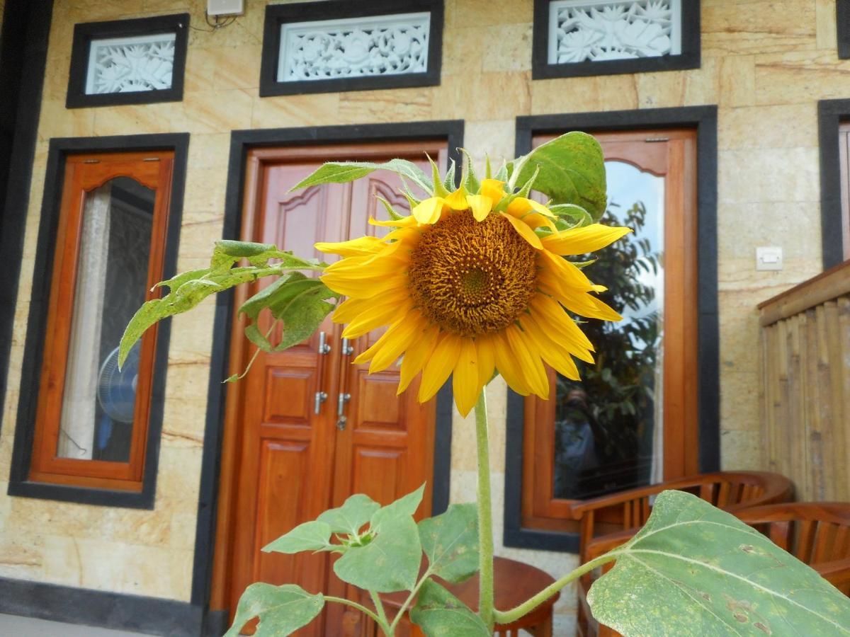 Ming Homestay سيديمين المظهر الخارجي الصورة